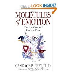 Molecules of Emotion: Why You Feel the Way You Feel