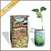 The Patent Magic Plant Bean (Zoo World)