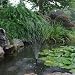 Sunspray SE 500 Solar Fountain for Garden Ponds / Water Features, with Dry Run Protection, Battery B