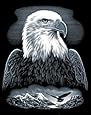 Reeves Bald Eagle Scraperfoil Artwork, Silver