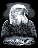Reeves Bald Eagle Scraperfoil Artwork, Silver