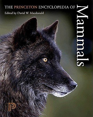 The Princeton Encyclopedia of Mammals   [PRINCETON ENCY OF MAMMALS] [Paperback]