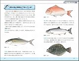 科学でわかる魚の目利き　回遊魚から養殖魚まで、魚をよりおいしく食べる！ (サイエンス・アイ新書)-