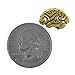 Jim Clift Design Brain Gold Lapel Pin