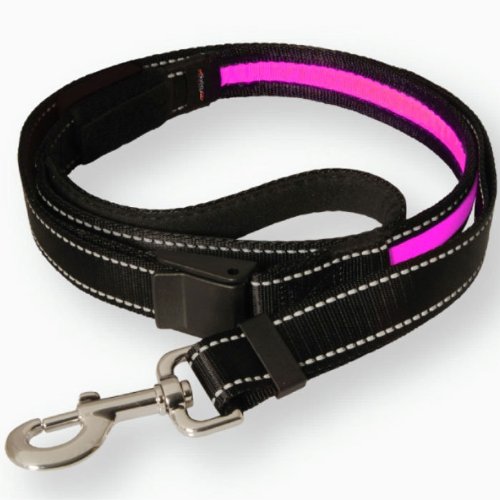 SafetyGlo Leash, Black/Pink