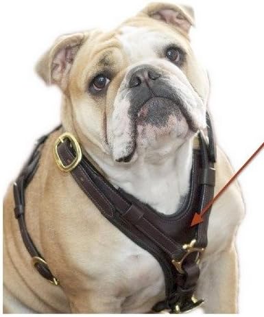 Genuine Leather dog Harness Soft padding LDH-006