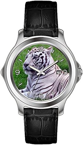 lvlp Men's Sentry 42mm Stainless Steel Leather Quartz Movement Watch &92