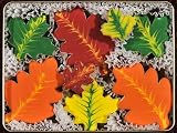 Colors of Fall Homemade Sugar Cookie Gift Tin