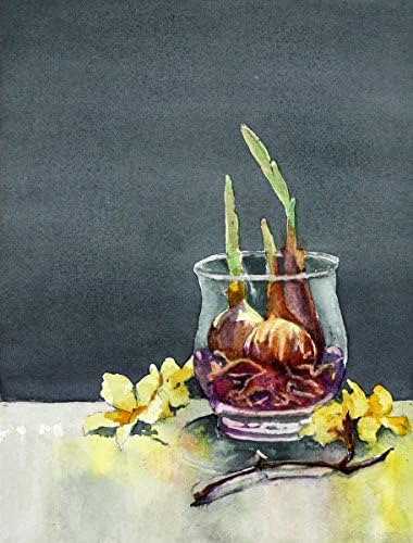 Jean Perretta Rooting Bulbs and Forsythia, Giclee Print from Watercolor Still Life Painting, 10 X 13 Inches