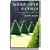 Word into Silence: A Manual for Christian Meditation
