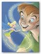 Tinker Bell and Peter Pan - A Touch of Magic by Walt Disney 16"x12" Art Print Poster Disney