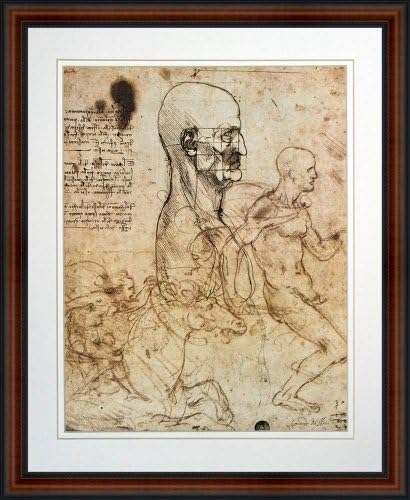 Study of the Human Physiognomy by Leonardo da Vinci. Framed Art Print Poster. Custom Made Real Wood Dark Walnut with Black Trim Frame (18 1/4 x 22 1/4)