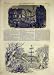 1852 Fete Chester Wynn Grosvenor May-Day Maypole Burley