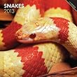 Snakes 2013 Square 12X12 Wall Calendar