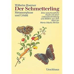 Der Schmetterling. Metamorphose und Urbild. Eine naturkundliche Studie mit einer Lebensbeschreibung