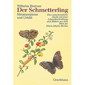 Der Schmetterling. Metamorphose und Urbild. Eine naturkundliche Studie mit einer Lebensbeschreibung