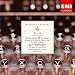 Search : Variations on an Original Theme, Op.36 ‘Enigma’ (2007 - Remaster): XI. G.R.S. (George Robertson Sinclair) (Allegro di molto)