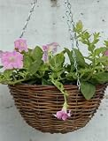 from we 16 Willow Hanging Basket
