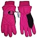 N'Ice Caps Kids Unisex Thinsulate and Waterproof Quilted Ski Gloves