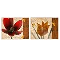 Set of 2 Floral by Miguel Paredes