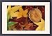 Framed Prints of Fall leaves and from Danita Delimont