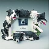 Border Collie-4x6 Picture Frame