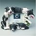 Border Collie-4x6 Picture Frame
