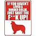New  If U Haven't Loved A Border Collie , Just Shut The Fborder Collieborder Colliek Up !  Parking Sign Dog