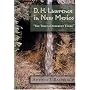 D. H. Lawrence in New Mexico: "The Time is Different There"