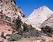 Checkerboard Mesa, Zion National Park, Utah Photograph - Beautiful 16"x20" Photographic Print by Carol M. Highsmith