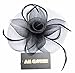 Fascinator on Hairclip for Women Mesh Feather Black