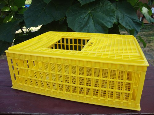 Poultry Transport Crate, Top Loading Slide Lid, 10 Bird Capacity