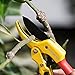 Topbest Pulley Pruning Shears Ideal Garden Hedge Tree Clippers Non-slip Handle Secateurs Tree Pruners Better Than Conventional Anvil Pruning Hand Tools and Garden Scissors