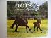 Horses 2009 16 Month Wall Calendar