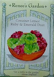 Lettuce Ruby and Emerald Duet Container Seeds 2500 Seeds