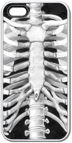Rib Cage Bones Apple iPhone 5 & 5S White Rubber Grip Case Anatomy Sketch Art