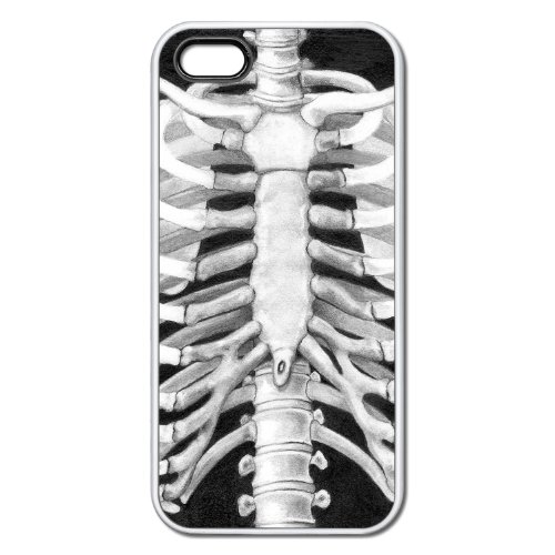 Rib Cage Bones Apple iPhone 5 & 5S White Rubber Grip Case Anatomy Sketch Art