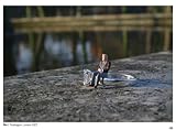 Little People in the City: The Street Art of Slinkachu 画像