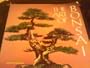 The Art of Bonsai