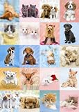 Jumbo Puzzle - Keith Kimberlin Collection - Cuddly Friends (1000 pieces)