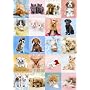 Jumbo Puzzle - Keith Kimberlin Collection - Cuddly Friends (1000 pieces)