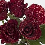 ダーズンローズ 大輪赤バラ花束 12本 プロポーズ ラメ無料 結婚式 結婚記念日 薔薇１２本 サプライズ プロポーズ ダーズン レッド 国産 大輪 赤ばら (赤いラメ)