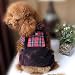 British Styled Red Plaid Shirt Corduroy Overalls for Cute Dog's Clothing
