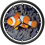 51SzgzUEOtL. SL160  Buy Tropical Fish Tanks
