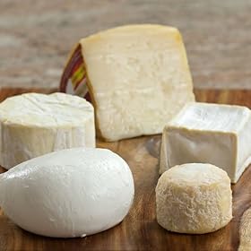 5 Favorites Cheese Sampler