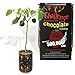 Chocolate Habanero Pepper - All-included-planter-kit . Just Add Water.