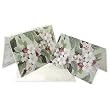 Apple Blossoms - Set of 10 Petite Greeting Cards