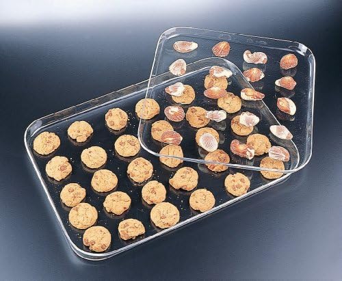 Snack Tray Large (Acrylic)