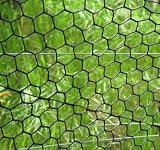 picture of Animal Control: Fence Black Vinyl Coated Galvanized Wire Animal Control - 3 ft x
