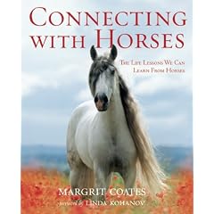 Connecting with Horses: The Life Lessons We Can Learn from Horses